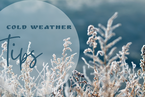 blog_cold-weather-tips