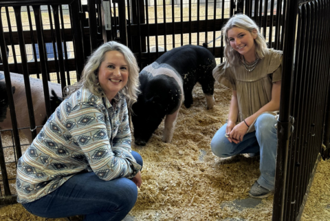 Allegan County Fair 